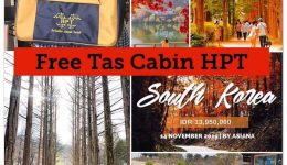 hpt-free-tas-cabin