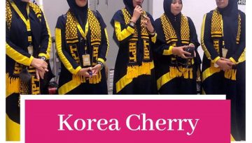 hpt-korea