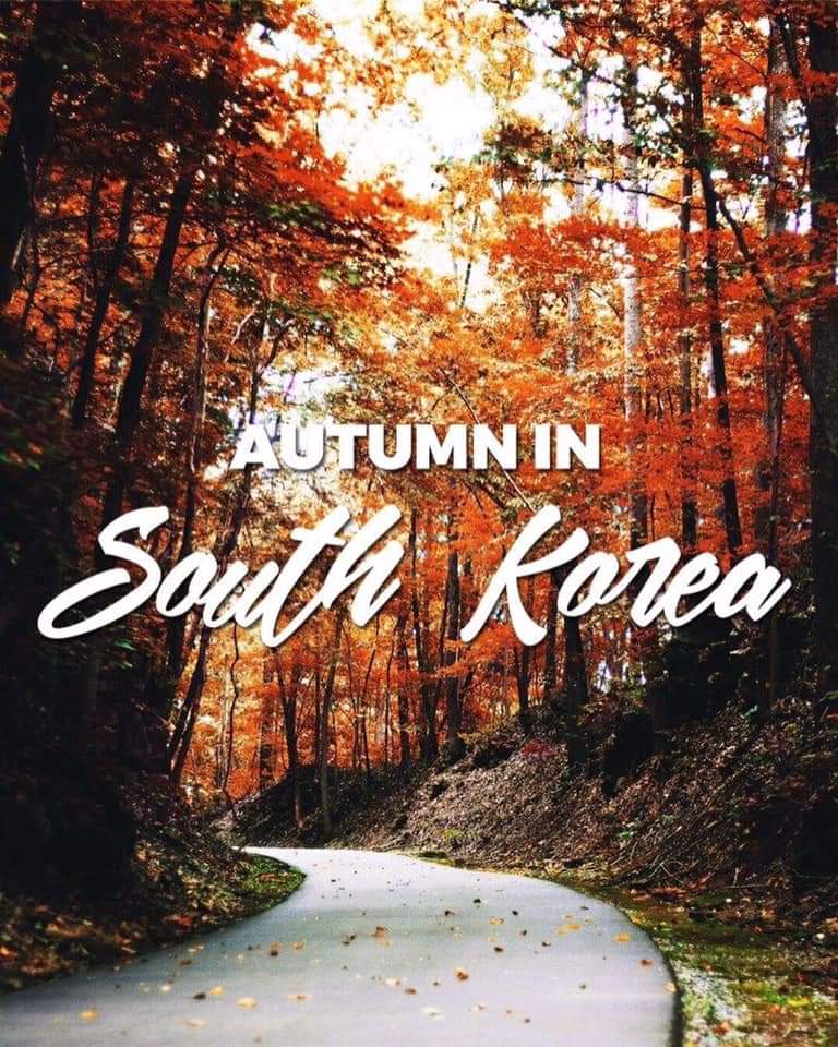 hpt-korea-comming-soon