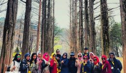 hpt-amazing-korea