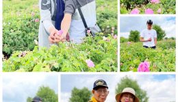 hpttourtravel-Isparta-001