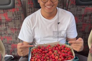 hpttourtravel-panen-buah-cherry-004