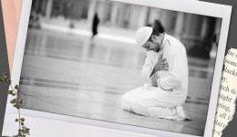 hpttourtravel.com-taqoruub