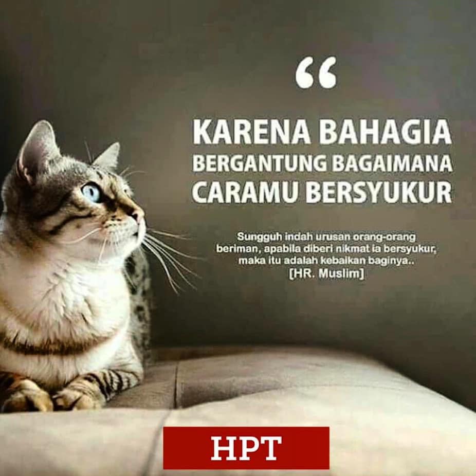 hpttourtravel-karena-bahagia hpttourtravel-karena-bahagia