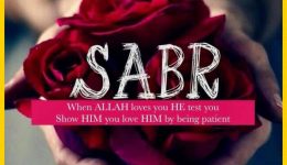 hpttourtravel-sabar