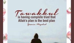 hpttourtravel-tawakkul