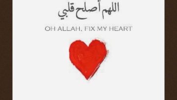 hpttourtravel-fix-my-heart